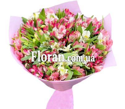 Біла та рожева альстромерія