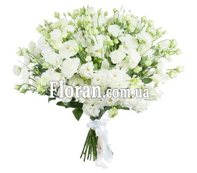 Белий лизиантус