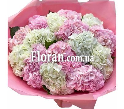 Бело-розовый букет гортензий