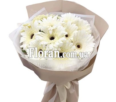 Белые герберы букет