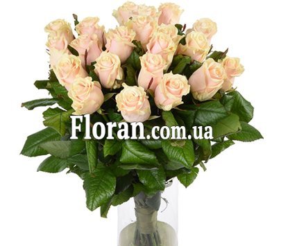 Бежевые розы