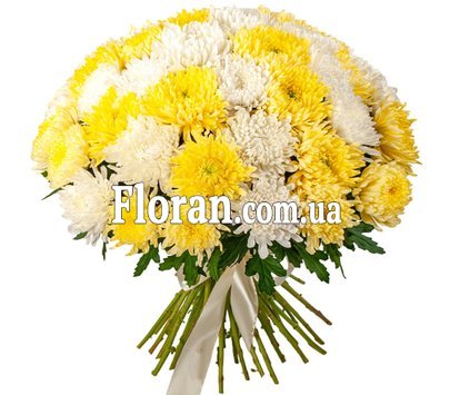 Великі хризантеми