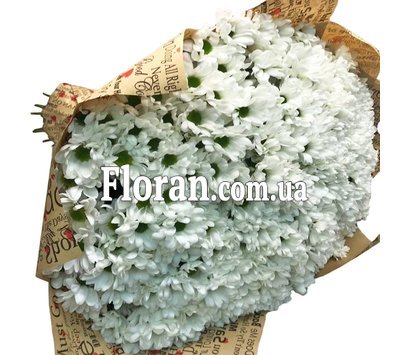 Великий букет ромашки букет