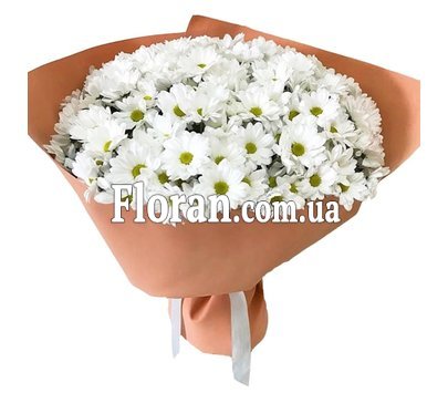 Букет белых ромашек