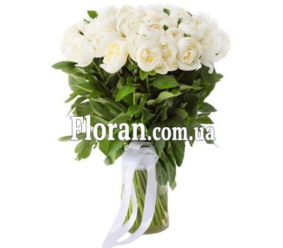 Bouquet of peony flowers