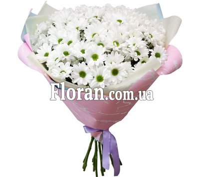 Букет цветов ромашки