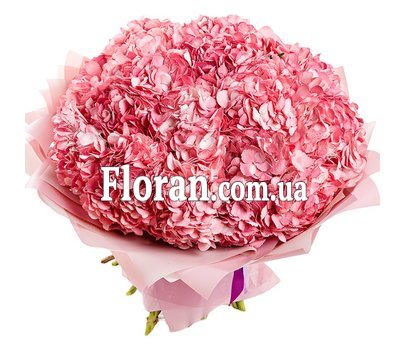 Букет гортензий на День Рождение