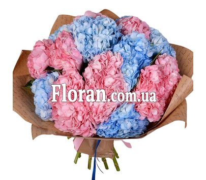 Букет гортензій на подарунок