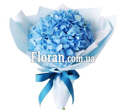 Букет із 1 гортензії