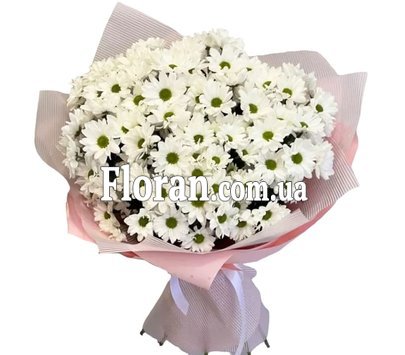 Bouquet of 11 daisies