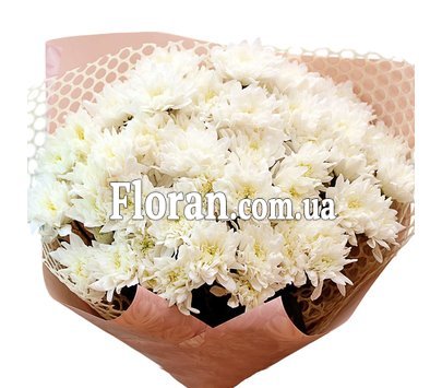 Букет из 9 кустовых хризантем