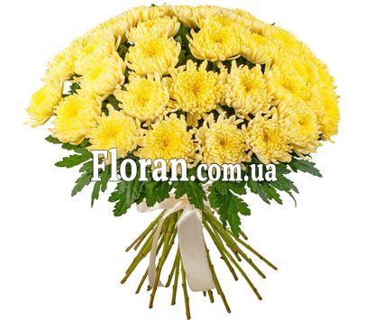 Bouquet of huge chrysanthemums