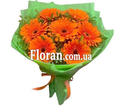 Bouquet of gerberas