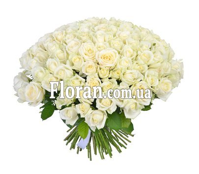 Квіти великий букет білих троянд