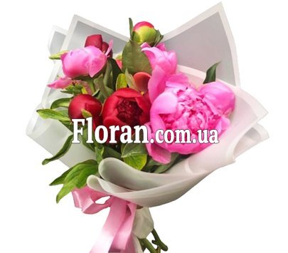 Квіти півонії