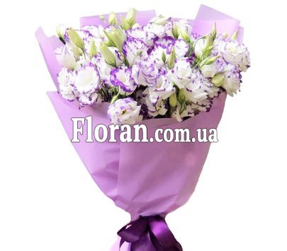 Эустома бело синяя