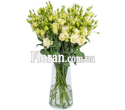 Еустома жовта