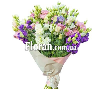 Eustomas in packaging