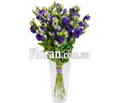 Фиолетовые эустомы