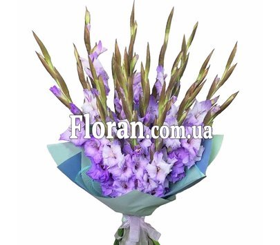 Фіолетові гладіолуси