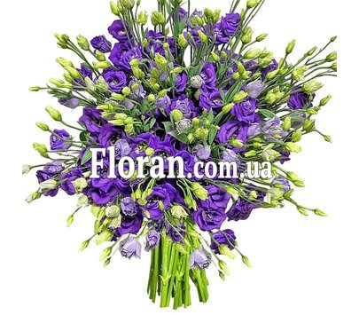 Фиолетовый лизиантус