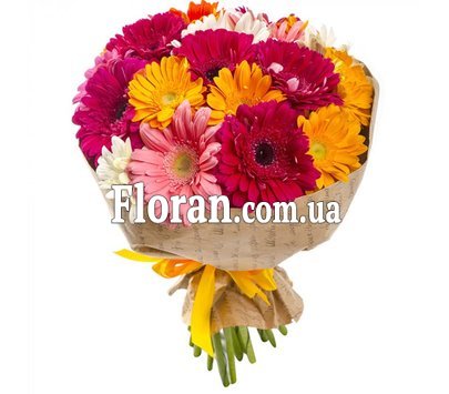 Гербери букет