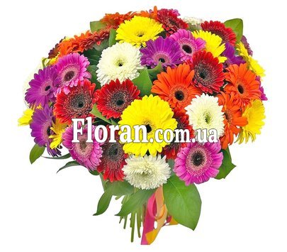 Гербери мамі