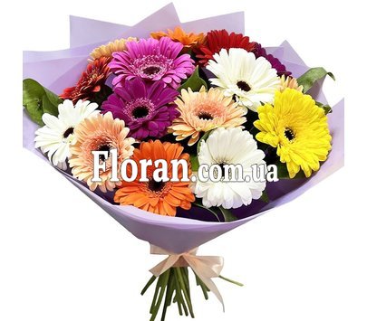 Gerberas of different colors