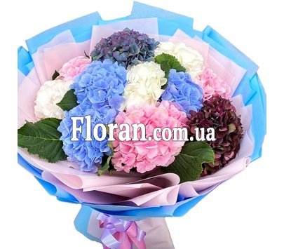 Гортензії для мами