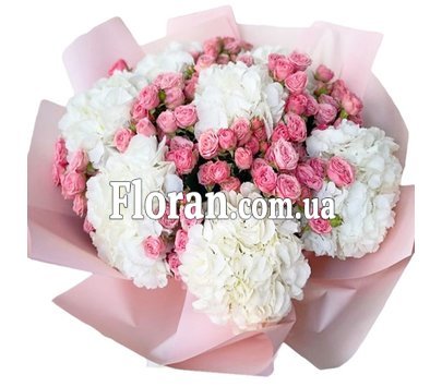 Гортензія кущова троянда