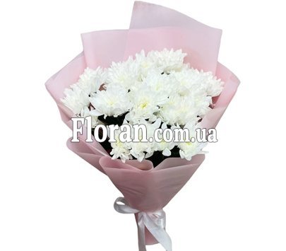 Chrysanthemums 5 pieces