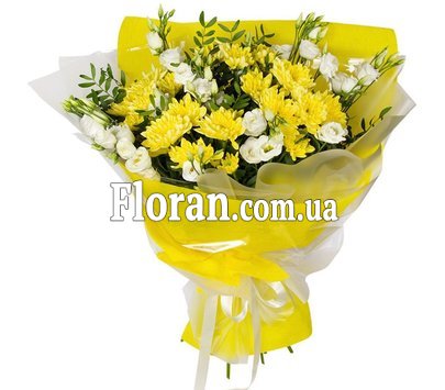 Chrysanthemum eustoma