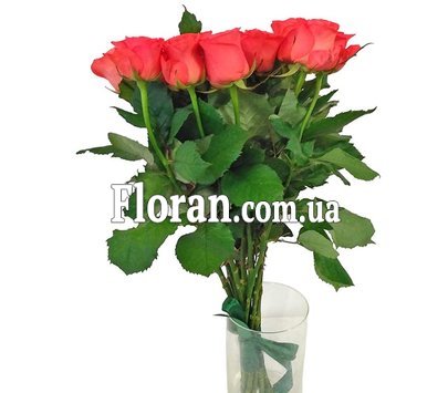 Коралова троянда