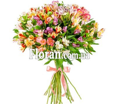 Красиві альстромерії