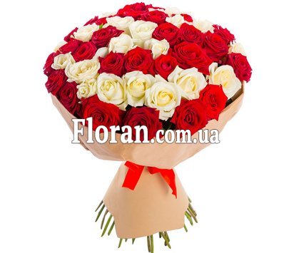 Красивые бело красные розы