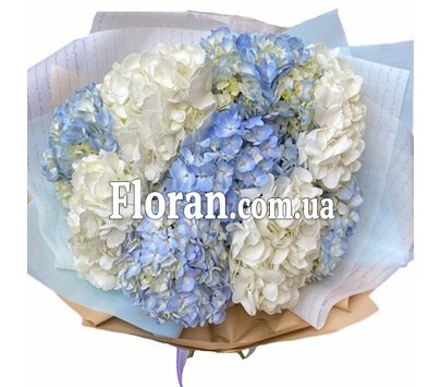 Гарний букет з гортензією