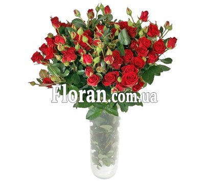 Small red roses