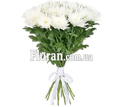 Великі хризантеми під стрічку