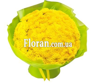 Large chrysanthemums in a package