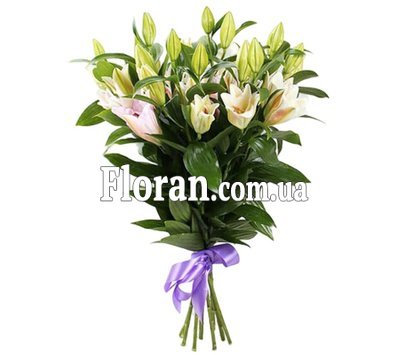 Лілія гарна