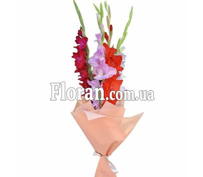 Маленький букет гладиолусов