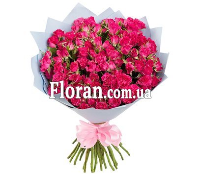 Малинові кущові троянди