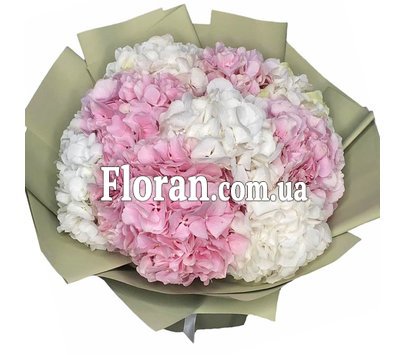 Монобукет із квітів гортензії