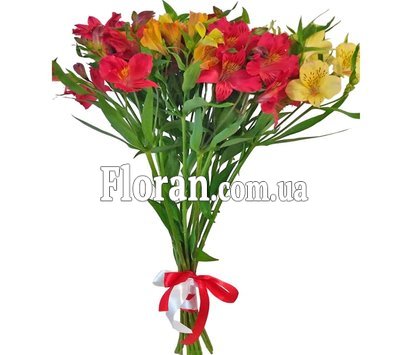 Невеликі букети з альстромерії