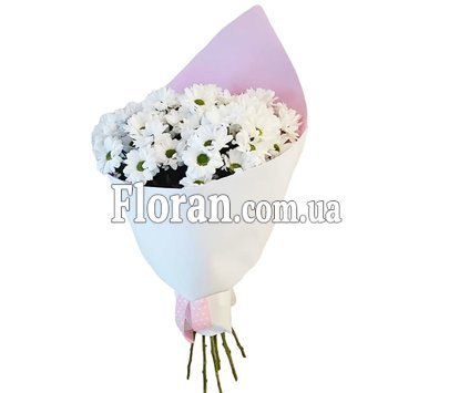 Небольшой букет из ромашек