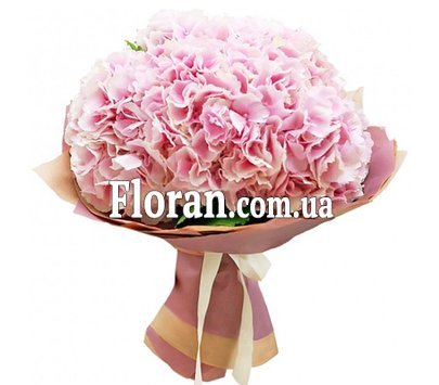 Ніжний букет гортензій