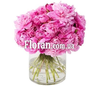 Ніжний букет з півонії