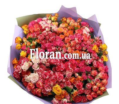 Огромный букет кустовых роз