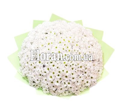 Огромный букет ромашок