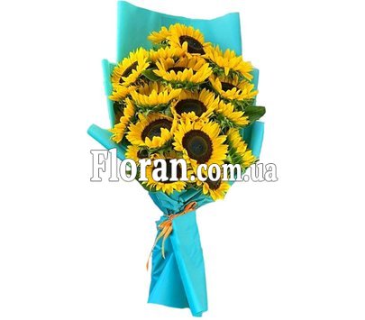 Соняшники в блакитній упаковці